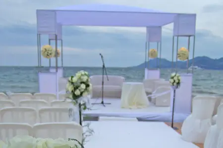 Jardin d'Alice — photo 8