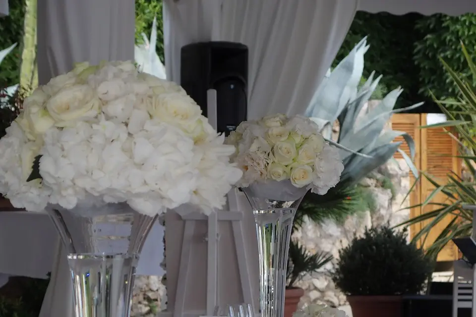 Jardin d'Alice — photo 4