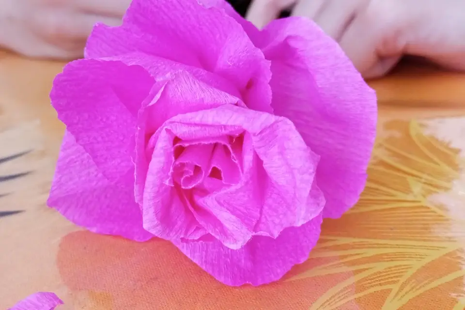 L-AS Care Family — photo 4