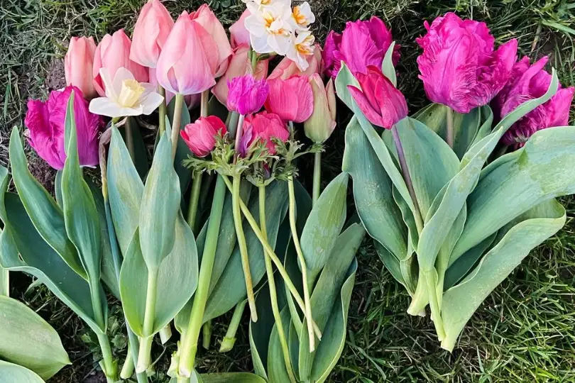 Chérie, j'ai oublié les fleurs — photo 6