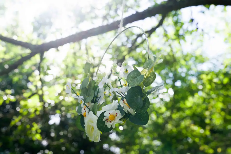 Temai Studio — photo 7