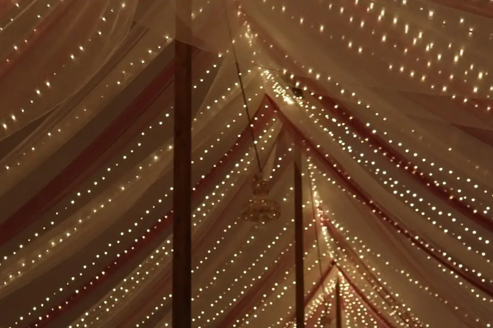 Nivéolevents — photo 7