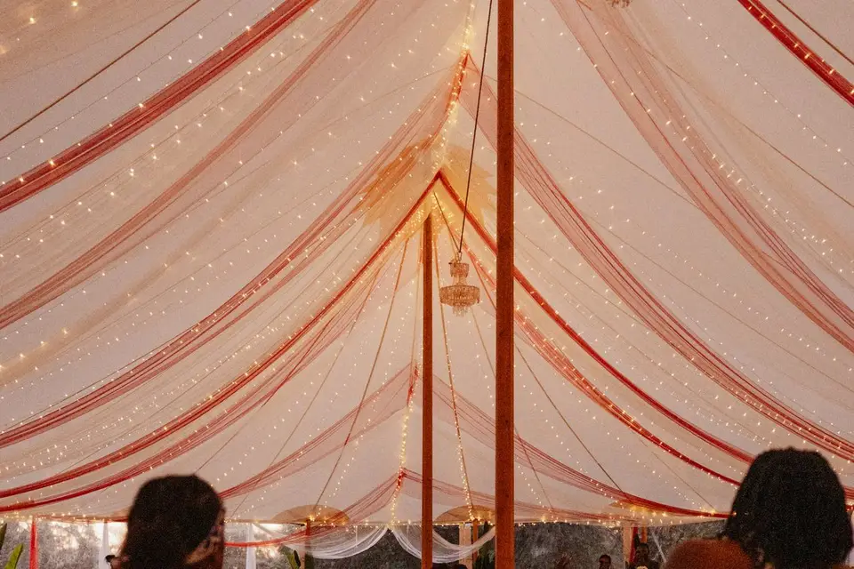 Nivéolevents — photo 2