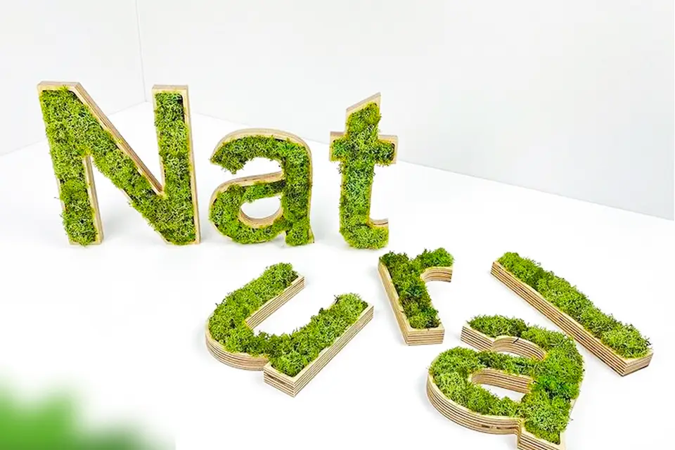 Enseigne Plus — photo 7