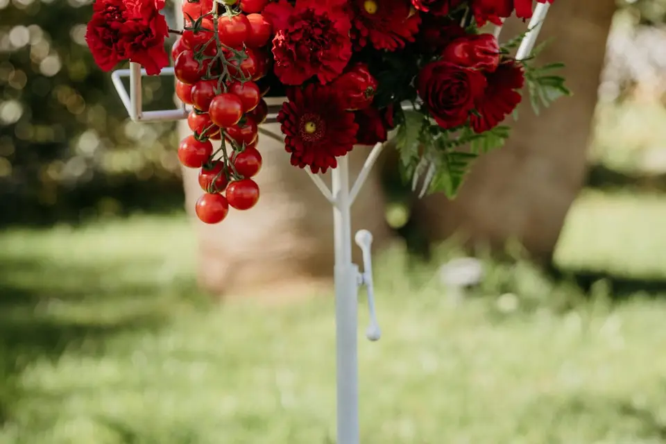 Le Plan Parfait — photo 8