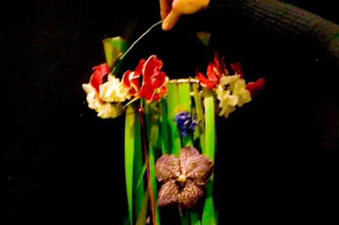 Prestaflor — photo 6