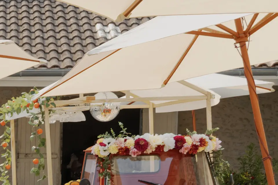 Ape Events — photo 1