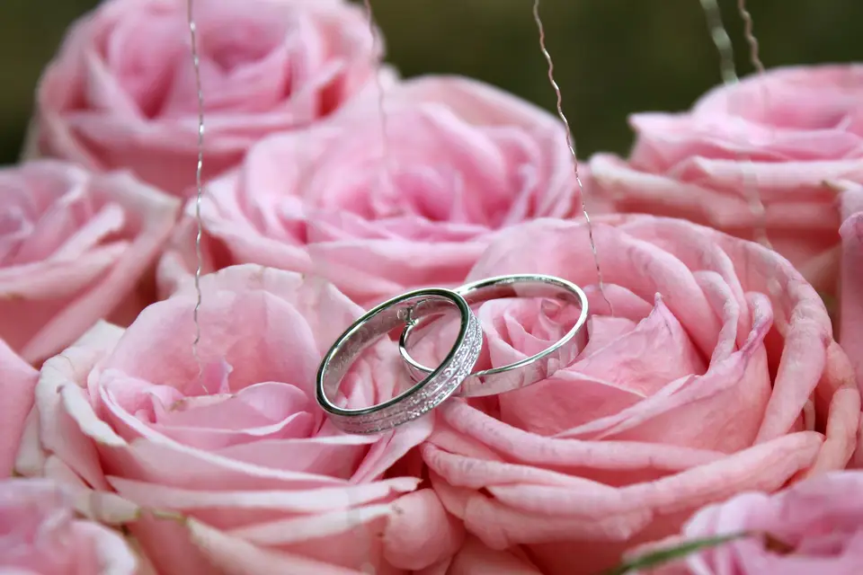 Amandine Simon — photo 3