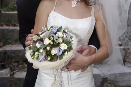 Thierry Robin - Centifolia — photo 2