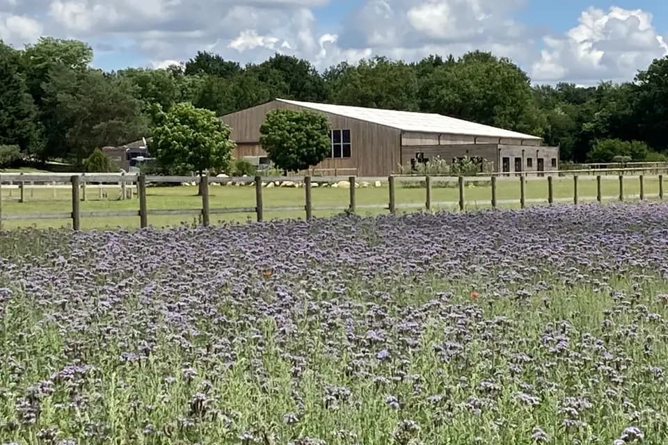 Domaine du Haras de Fontainebleau — photo 5
