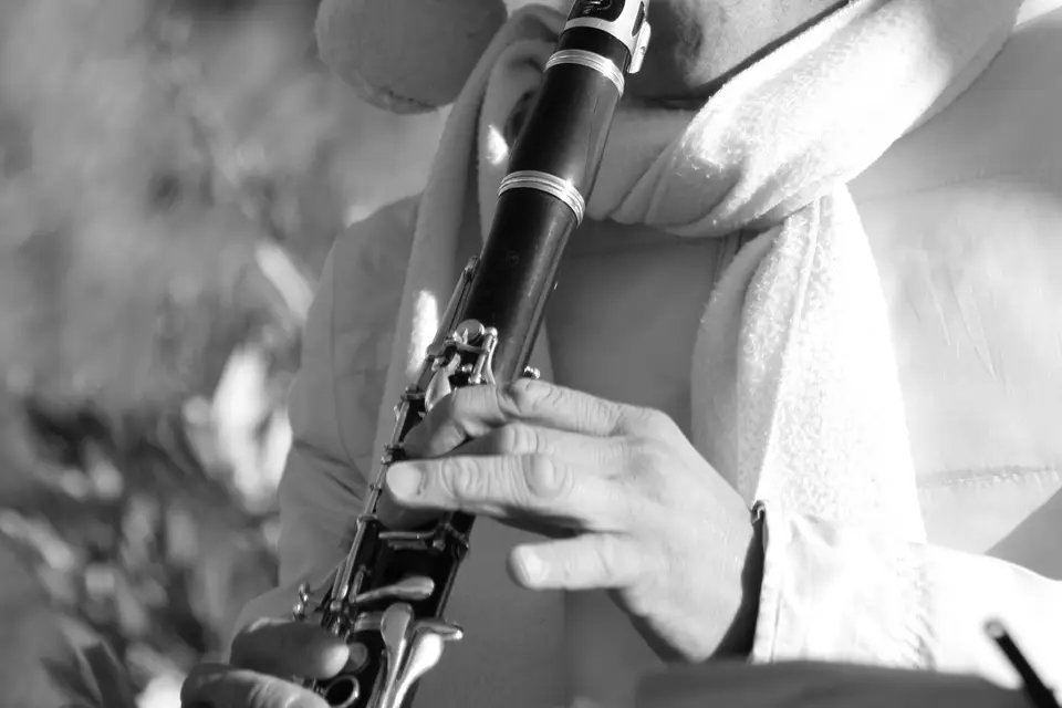 In Sotto Voce — photo 2