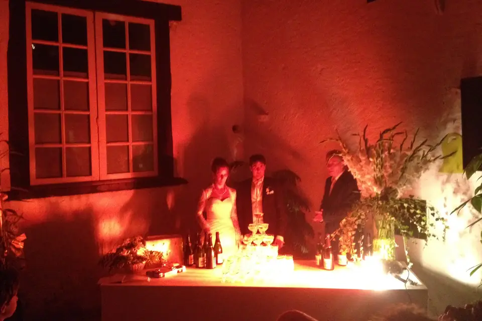 StarMusicSystem — photo 3