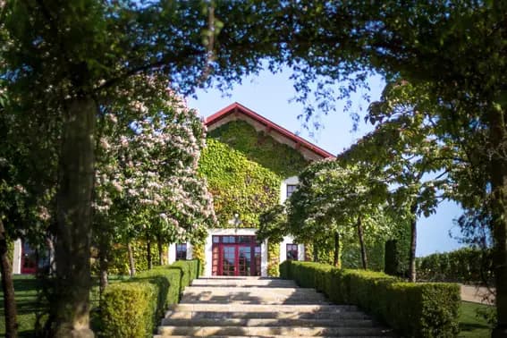 Château Malartic-Lagravière — photo 8