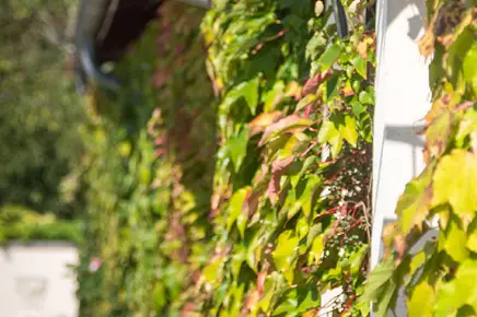 Château Malartic-Lagravière — photo 4