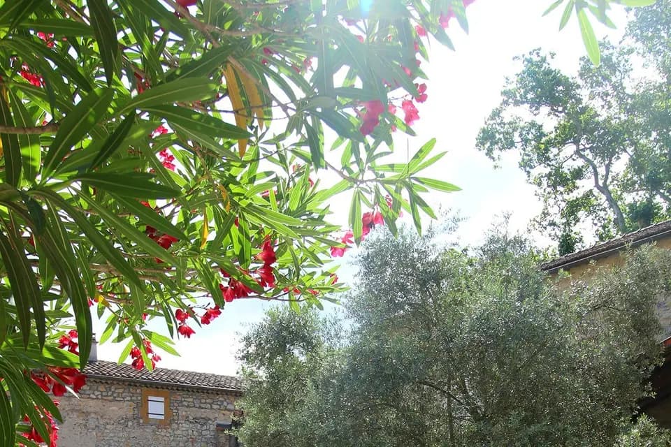 La Bastide du Vébron — photo 8