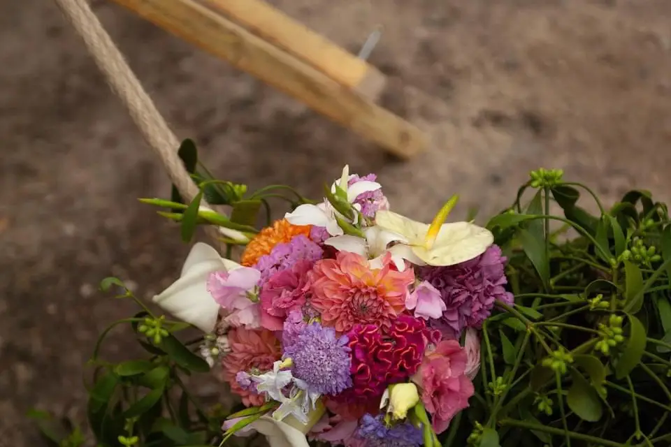 Two Hugs — photo 7