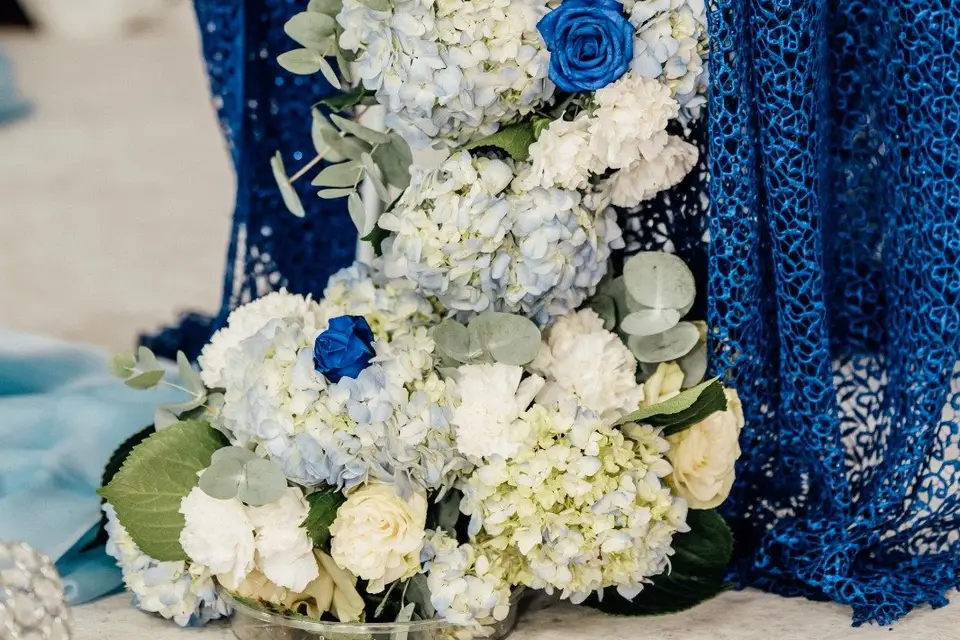 Paradisiaque Event's — photo 2