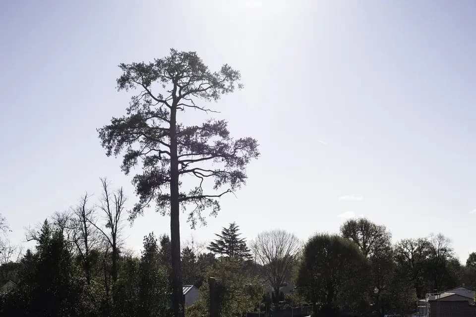 Château du Portereau — photo 4