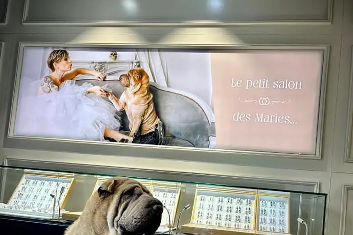 Bijouterie Fred Henrard — photo 3