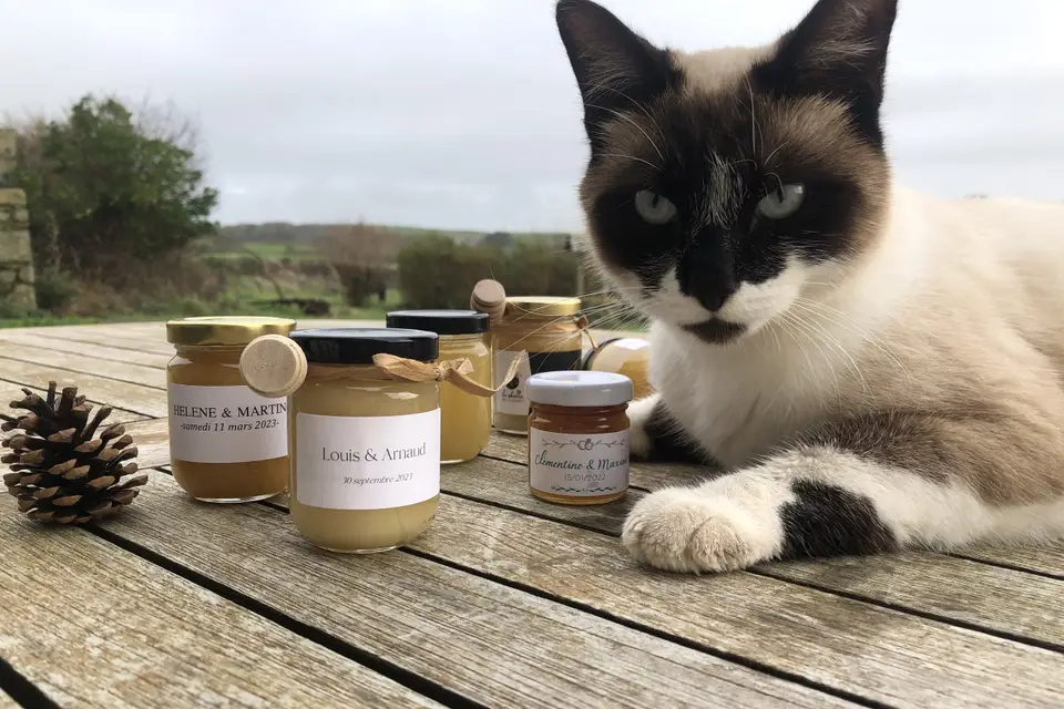 Les Abeilles du Corsen — photo 2