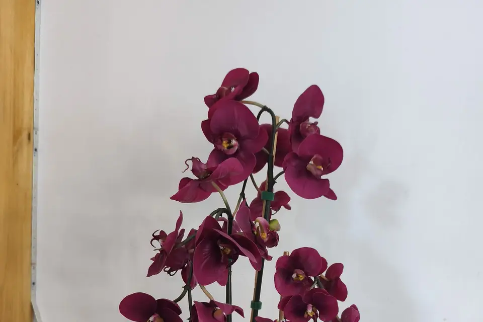 Passion Style — photo 4