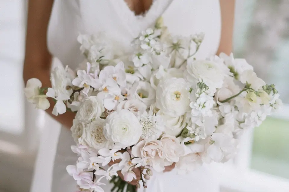 Vanda Bleu — photo 4