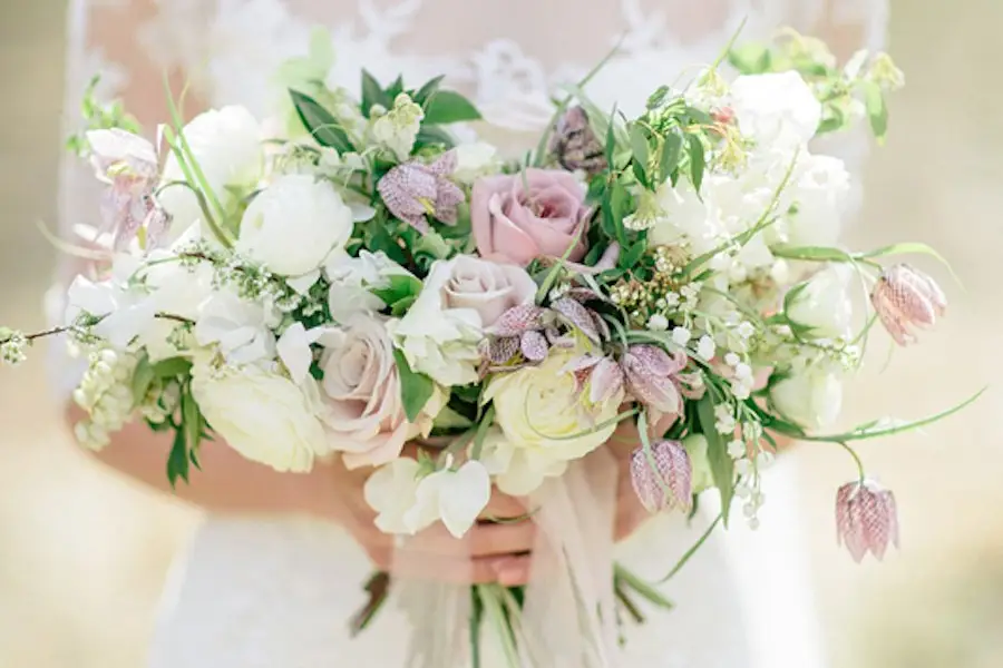 Vanda Bleu — photo 7