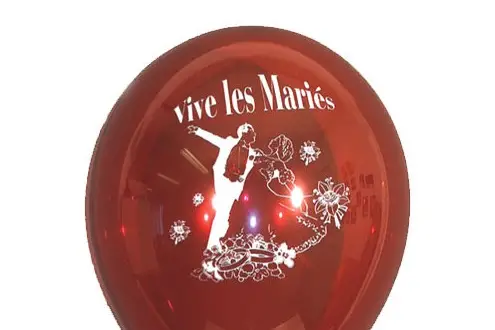 Ballons à GoGo — photo 7