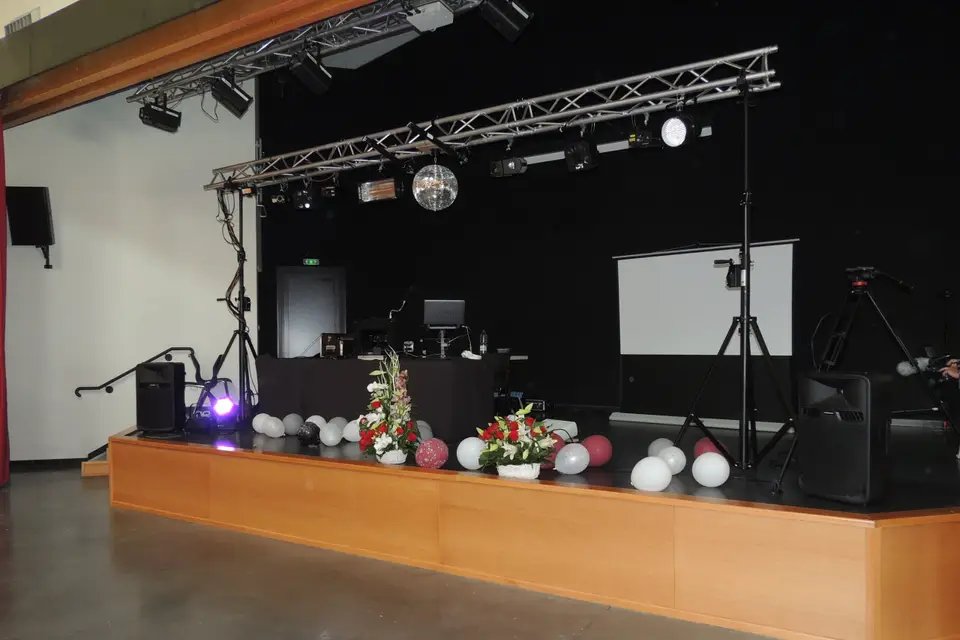 Rev Party 80 Animation — photo 8