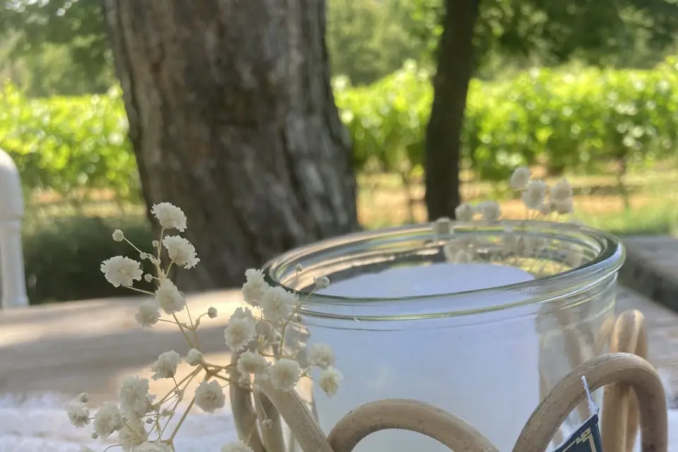 Marius Fabre — photo 4