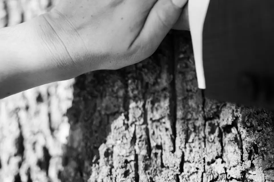 Maxime Brau — photo 5