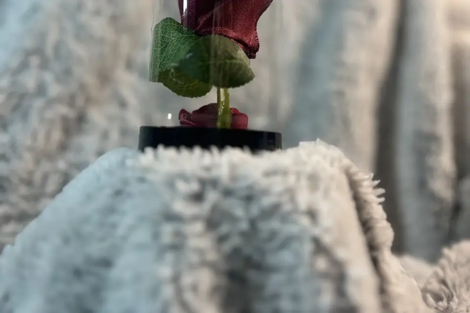 Douceurs_Plaisirs — photo 1