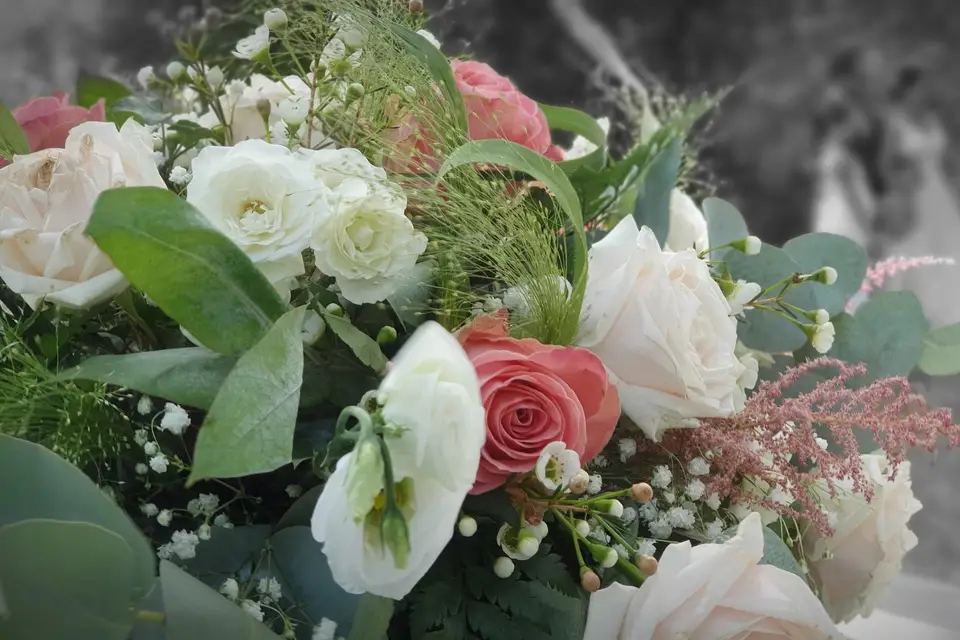 Les Virées Cévénoles — photo 1