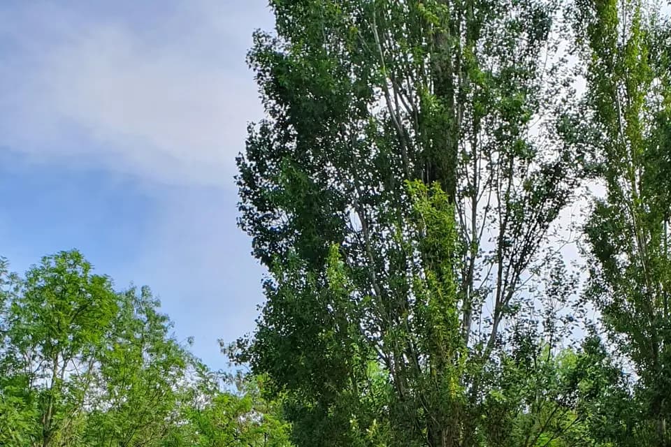 Les Virées Cévénoles — photo 3