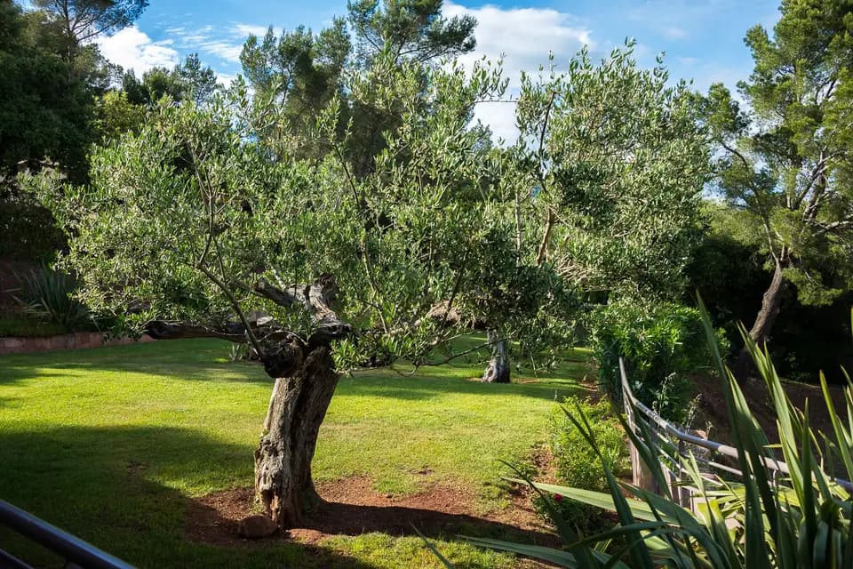 Hôtellerie Kouros — photo 2