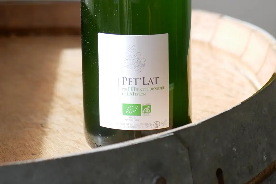 Maison Lateyron — photo 7