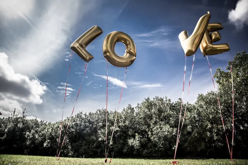 Daniel Sourmey Photography — photo 1