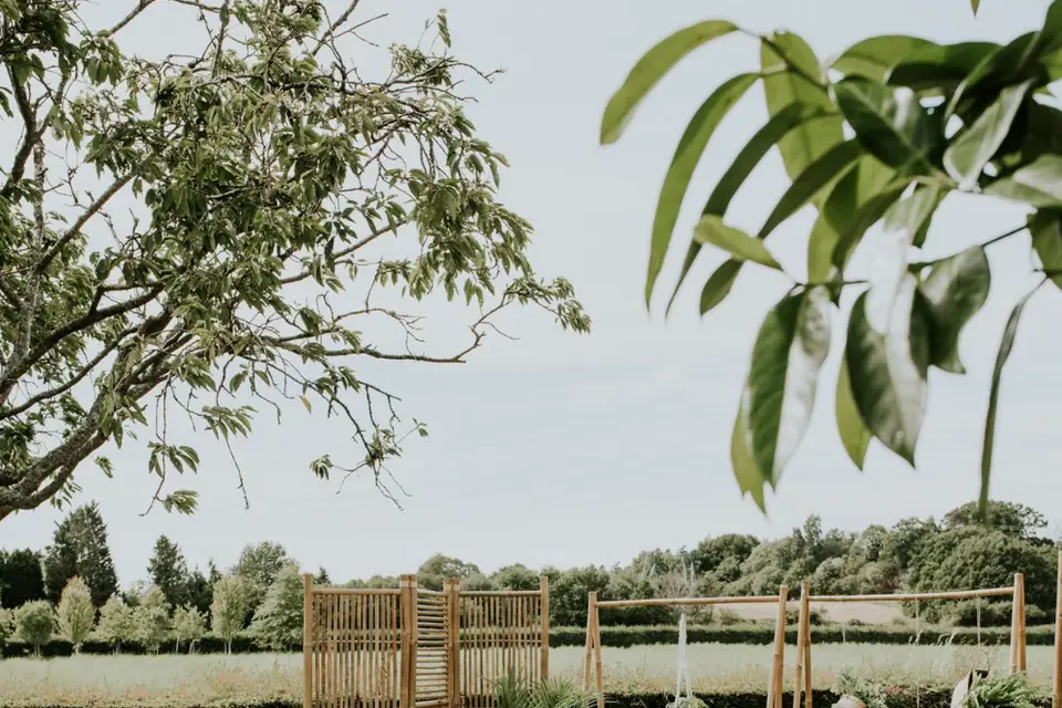 Les Chaises Roses — photo 5