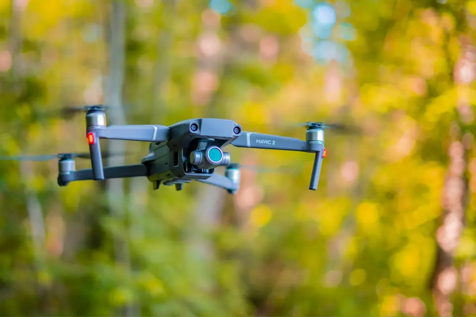 Asterlia — photo 5