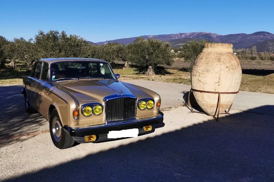 François Foret - Cruising Cars — photo 3