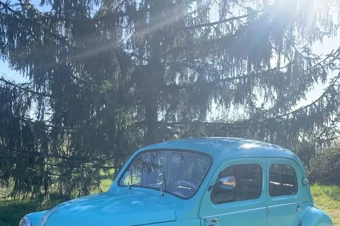 François Foret - Cruising Cars — photo 2