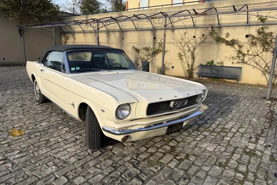 François Foret - Cruising Cars — photo 6