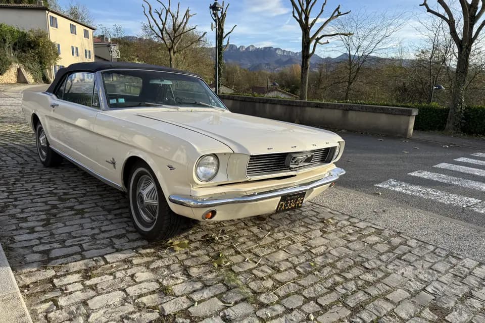 François Foret - Cruising Cars