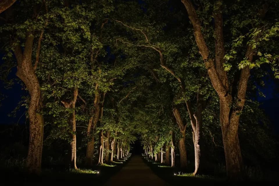 Domaine de Mahourat — photo 2