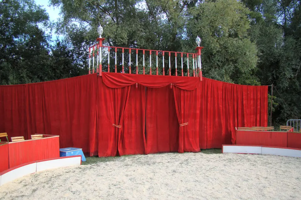 BNC Spectacles — photo 6