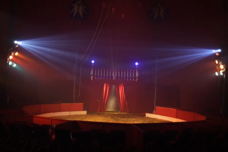 BNC Spectacles — photo 2