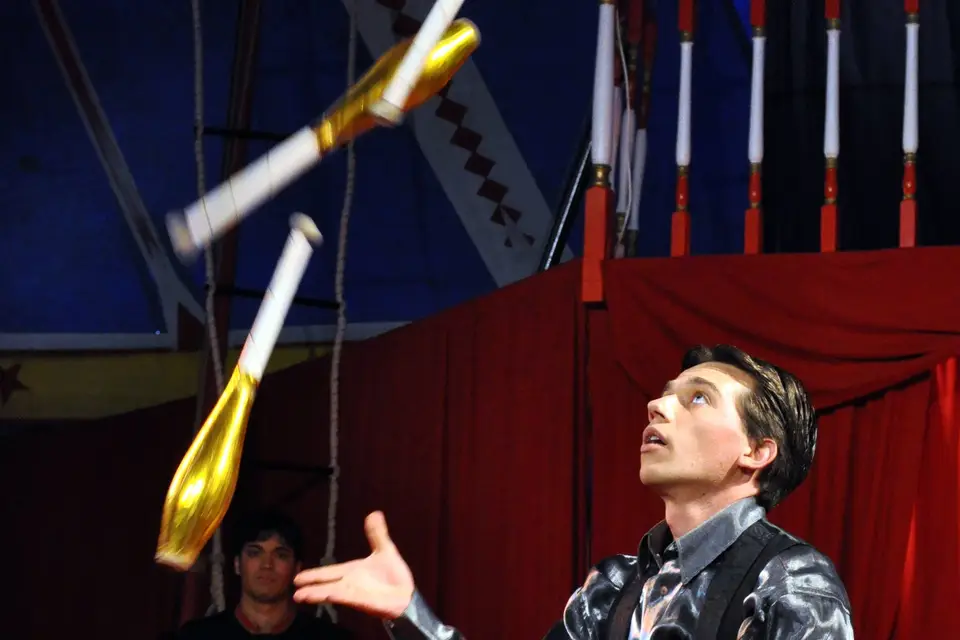 BNC Spectacles — photo 3