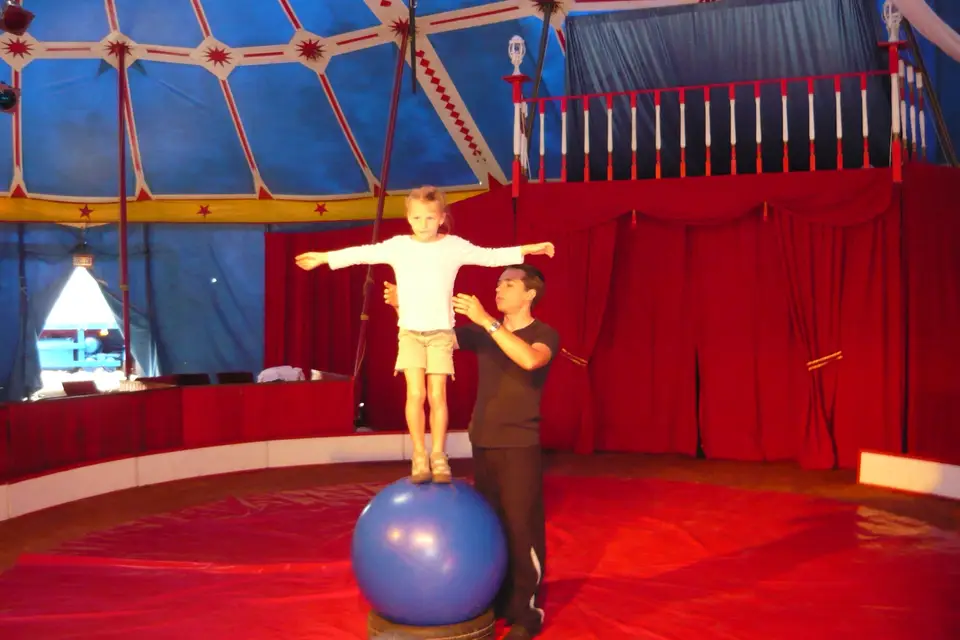 BNC Spectacles — photo 4