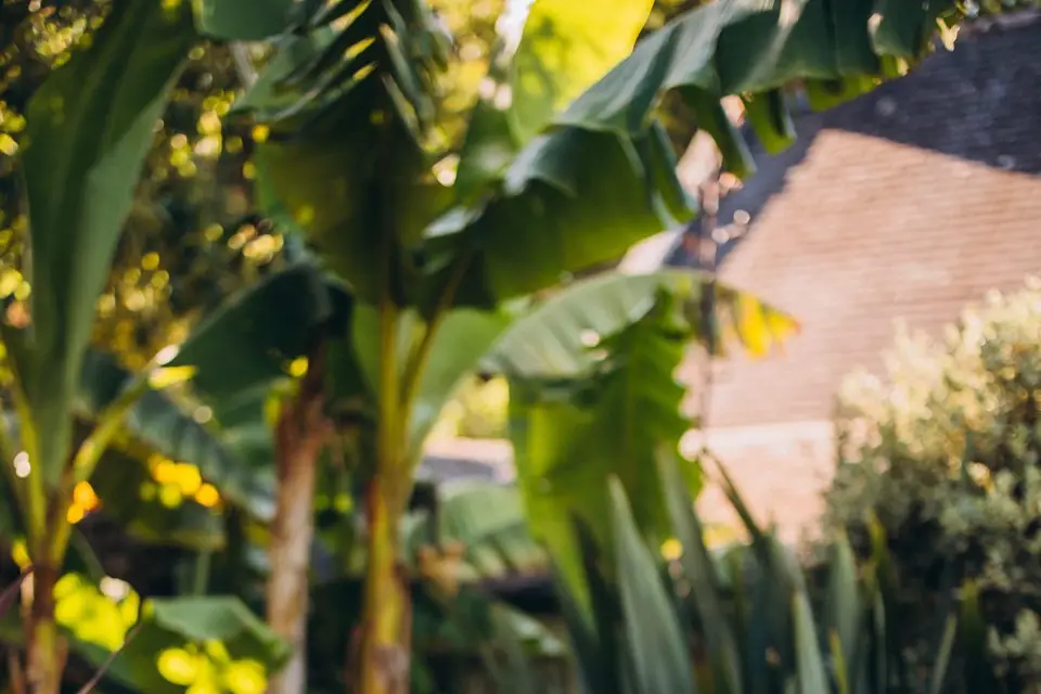 Amandine Duprat — photo 2