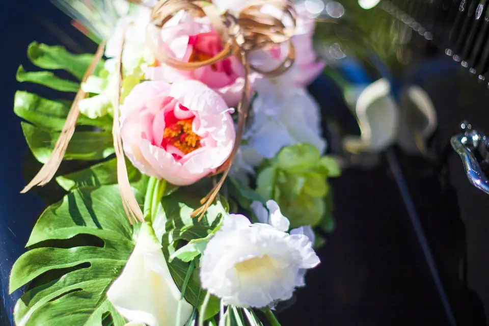 Loca-Traction — photo 6